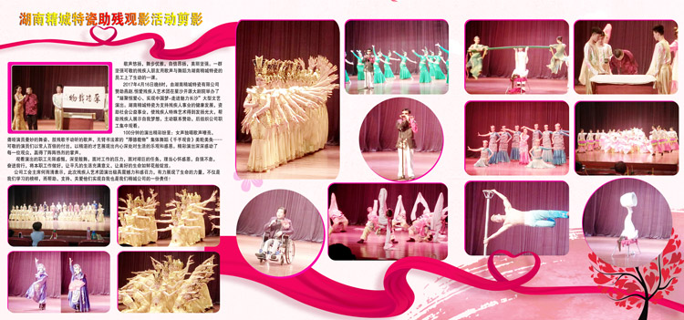 湖南4008云顶集团赞助燕赵·恒爱残疾人艺术团圆满演出