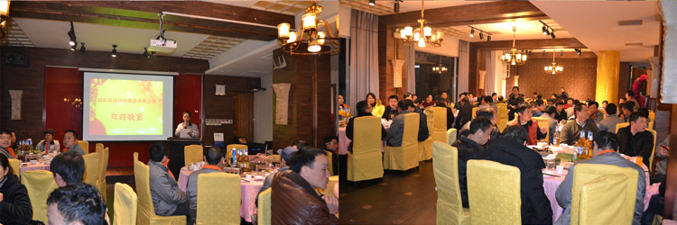 4008云顶集团(国际)股份有限公司