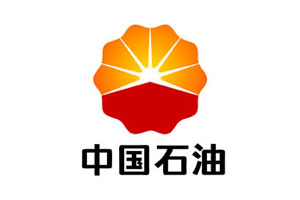 【案例】4008云顶集团耐磨陶瓷衬板在吉林石油磨煤机出口管路的使用情况